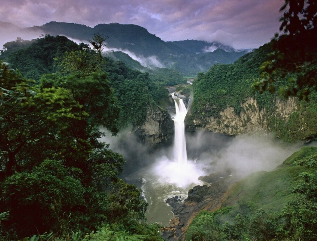 Lush canopy views of the Peruvian Amazon